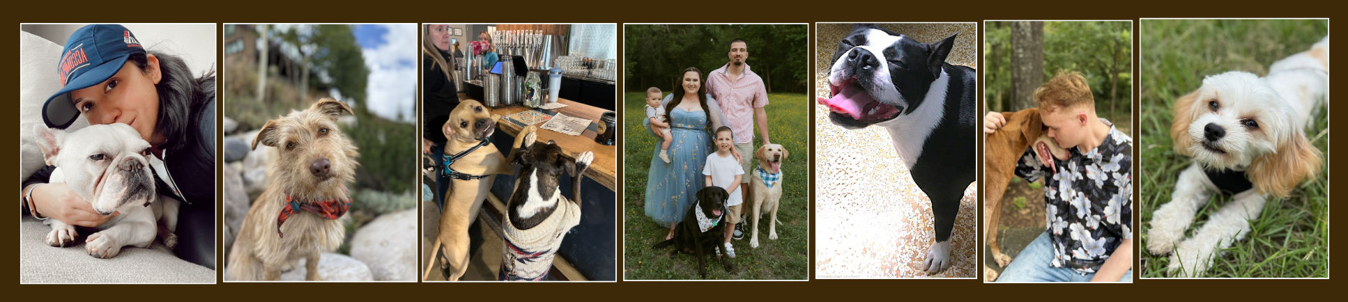 Final Dogslife Legacy Gala Sponsorship Summary.png